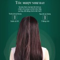 Lược điện chải tóc tạo kiểu nhanh chóng cao cấp